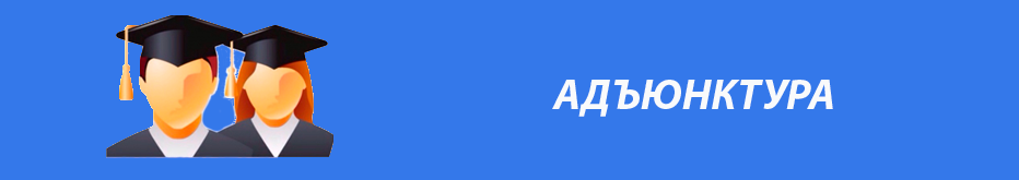 Адъюнктура